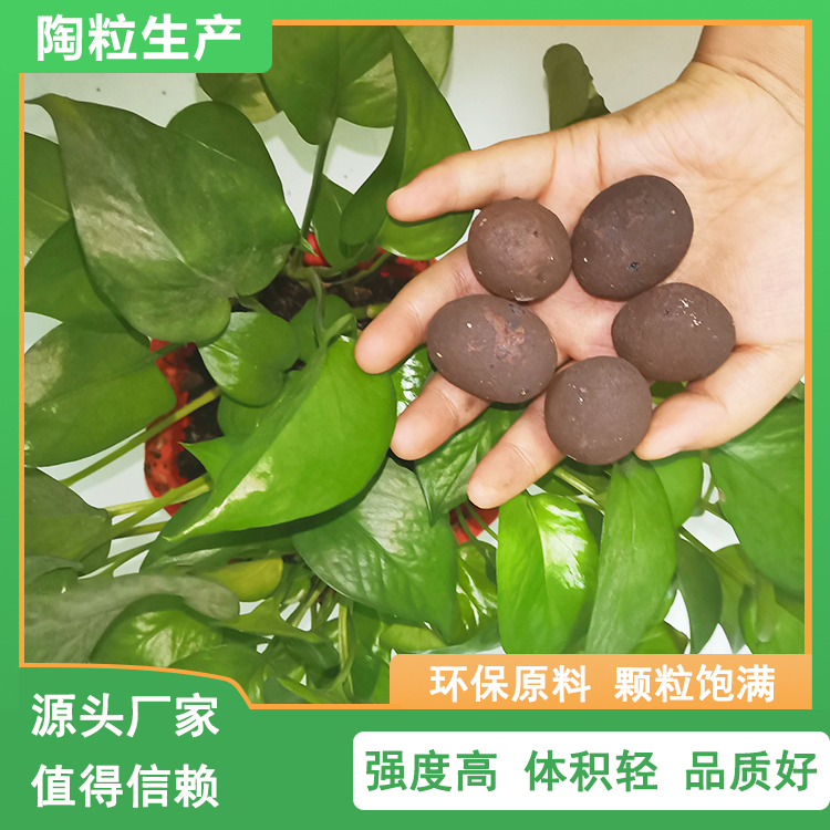 贵州生物陶粒 无土栽培园艺陶粒 卫生间回填陶粒