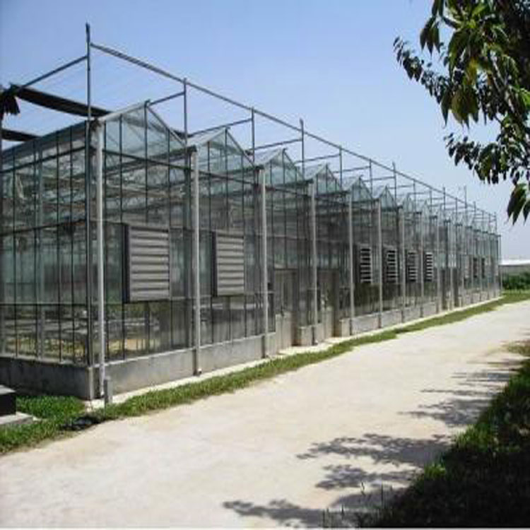 智能温室大棚 蔬菜育苗科研大棚 连栋玻璃温室工程制造