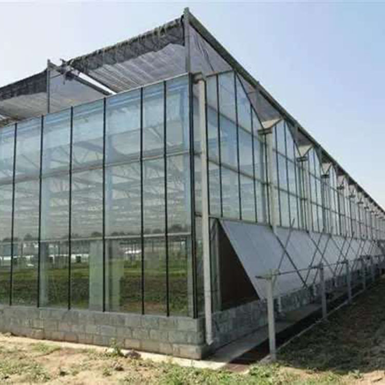 玻璃温室大棚造价 玻璃温室定制价格 天津玻璃温室