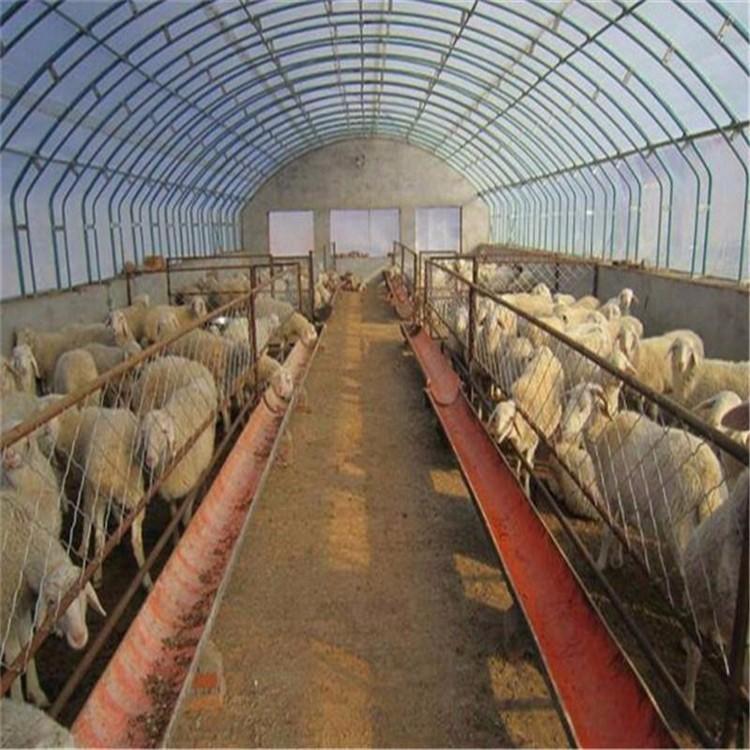 养殖大棚 养牛大棚 养羊大棚 大棚定制
