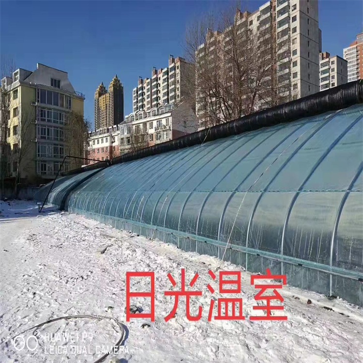 Greenhouse construction