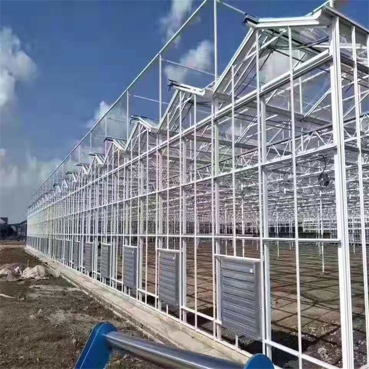 Cost of Intelligent Glass Greenhouse
