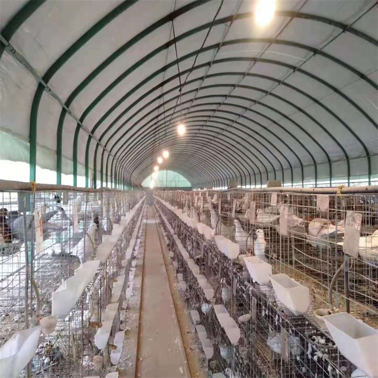 Greenhouse connected film