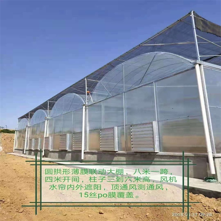 Greenhouse greenhouse pipe