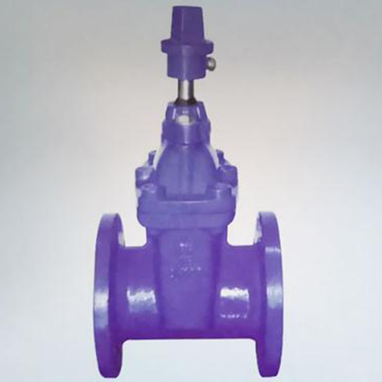 福燕特弹性软密封闸阀,电动蝶阀