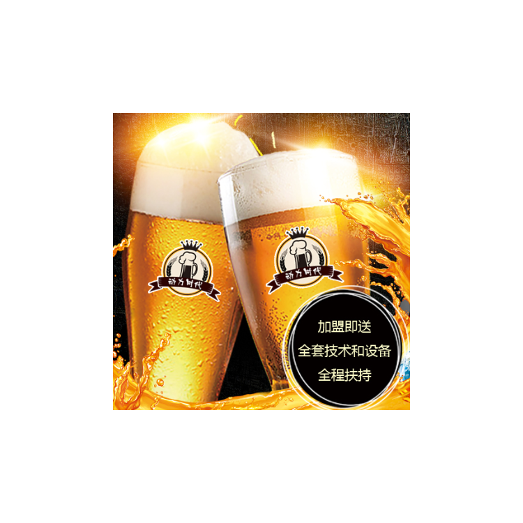 厂家直供精酿啤酒设备 德国酿酒技术免费培训