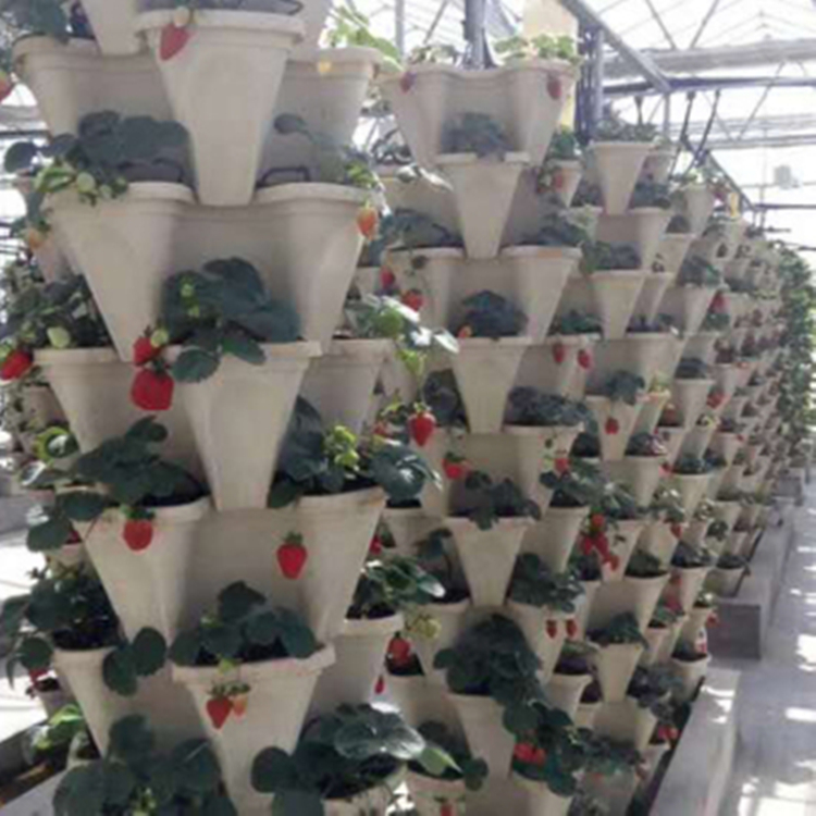 新型立式草莓高架无土栽培技术