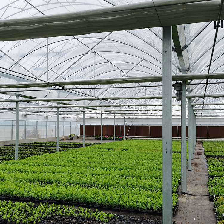 蔬菜温室大棚搭建