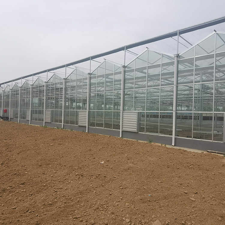 蔬菜温室大棚价格