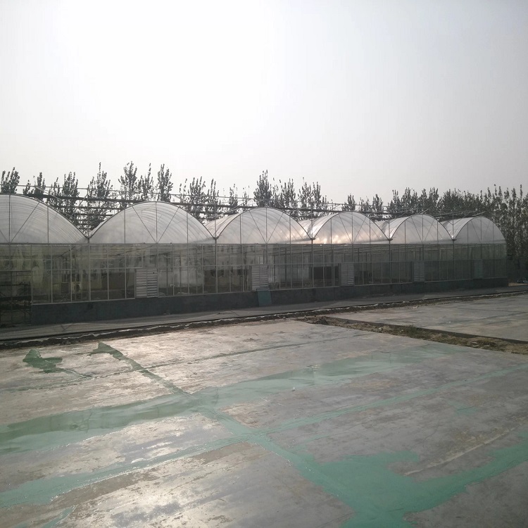 薄膜连栋温室