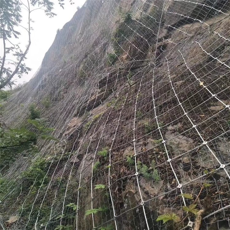 拦截落石防护网