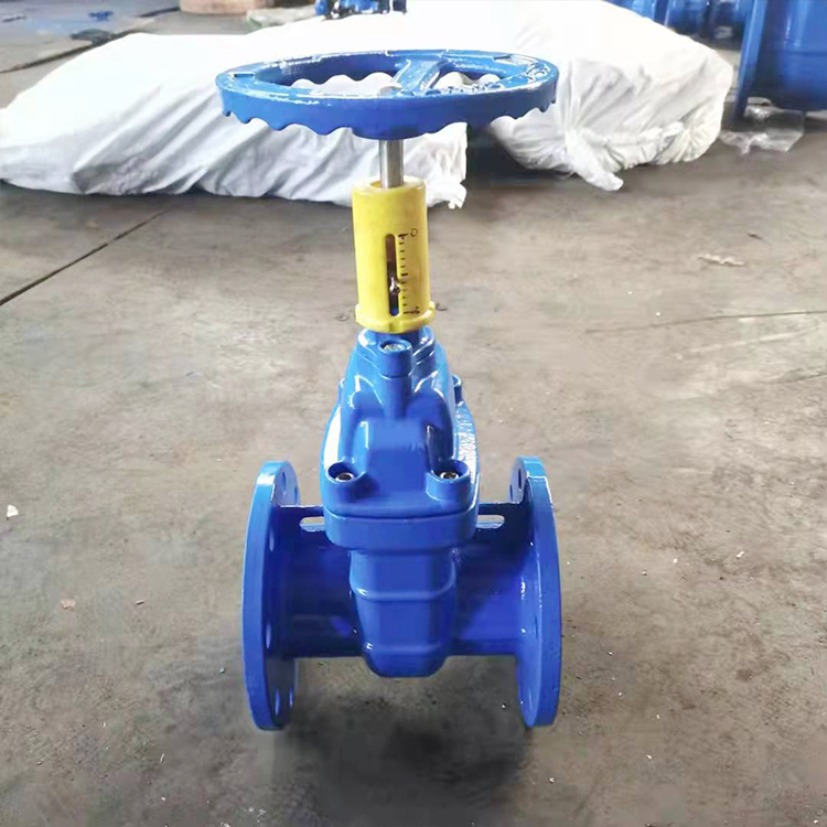 球墨铸铁防护闸阀