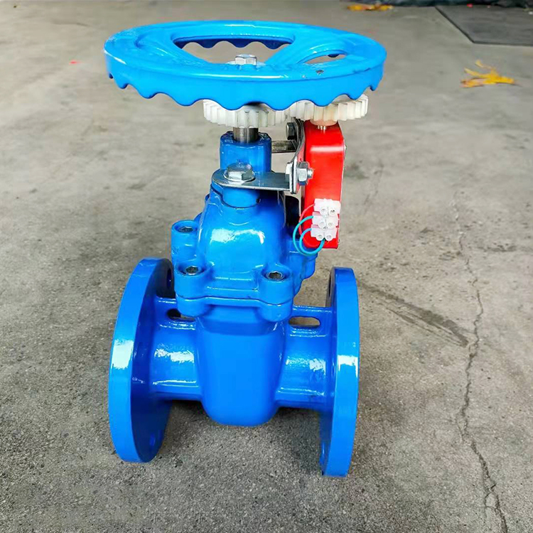 铜芯暗杆防护闸阀