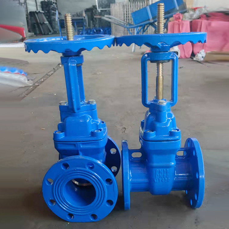 防护闸阀加工定制