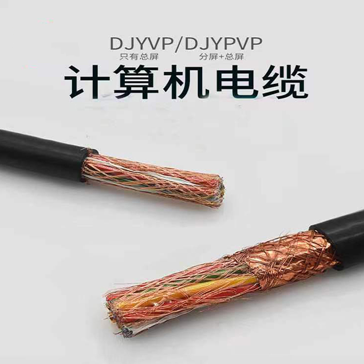DJYPVRP 2*2*1计算机电缆