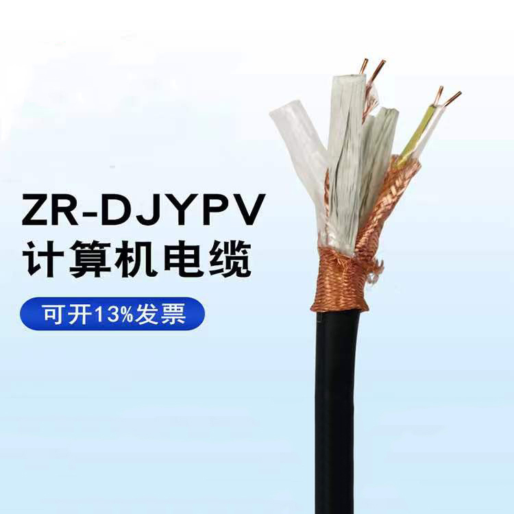 DJYPVP22 2*2*1计算机电缆