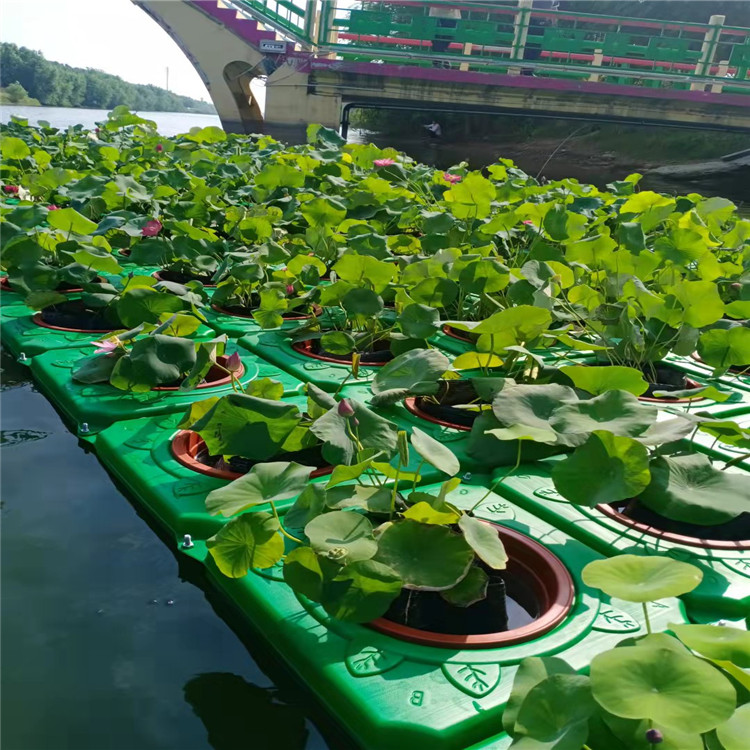 水上造景生态浮岛