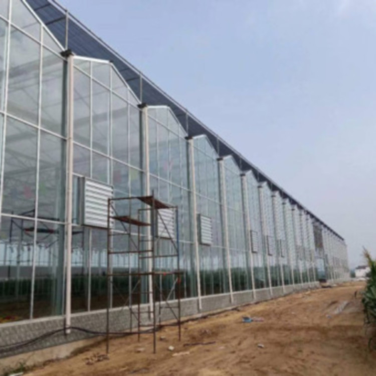 玻璃温室建设