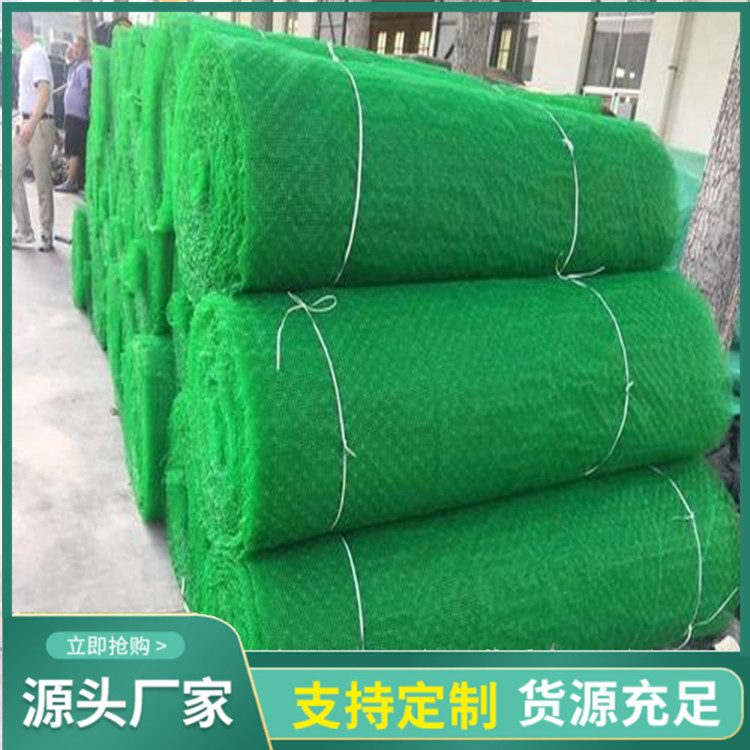 三维土工网垫
