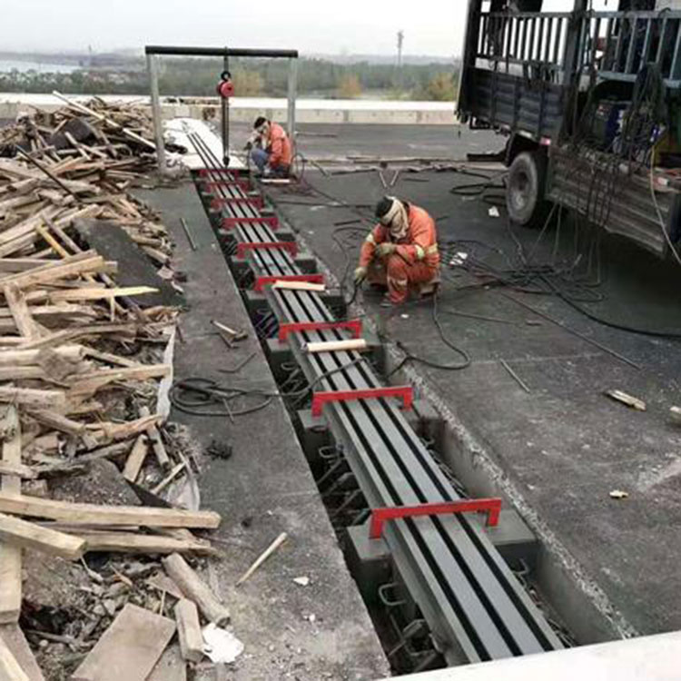 160型至1200型模数式伸缩缝