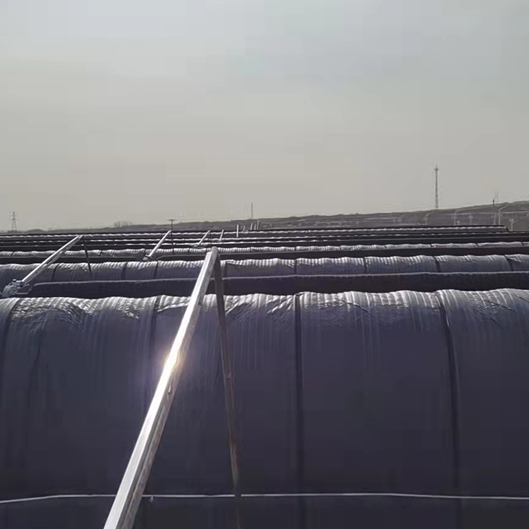 Greenhouse Cotton Blanket