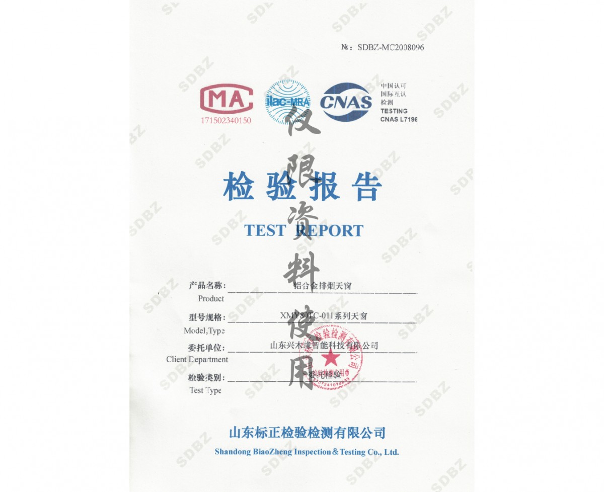 山东标正检验检测有限公司检验报告