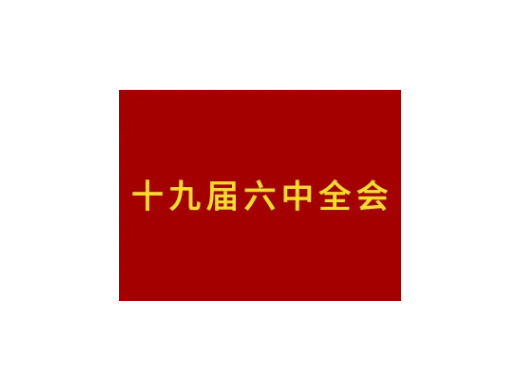 中核热盐组织学习十九届六中全会精神