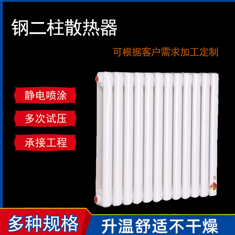 Steel two-column radiator