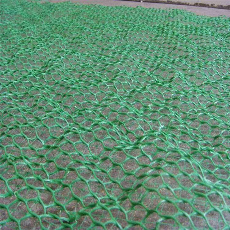 三维植被网垫