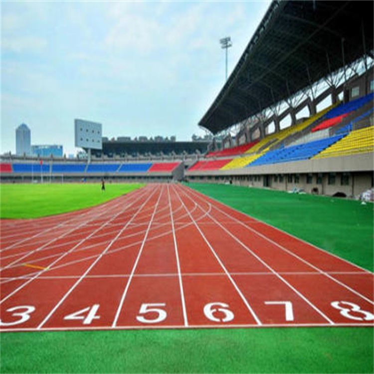 Composite Plastic Track Series