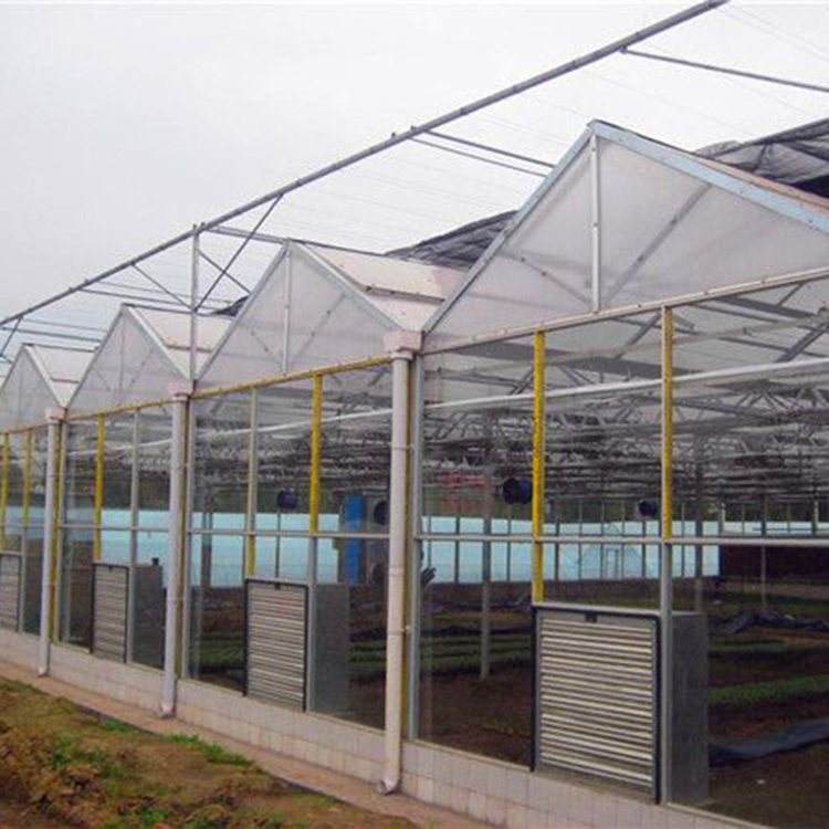 Smart Glass Greenhouse
