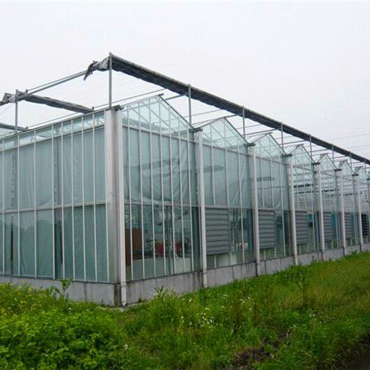 Glass Greenhouse Structures