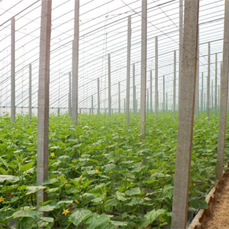 日光温室建设一体化服务