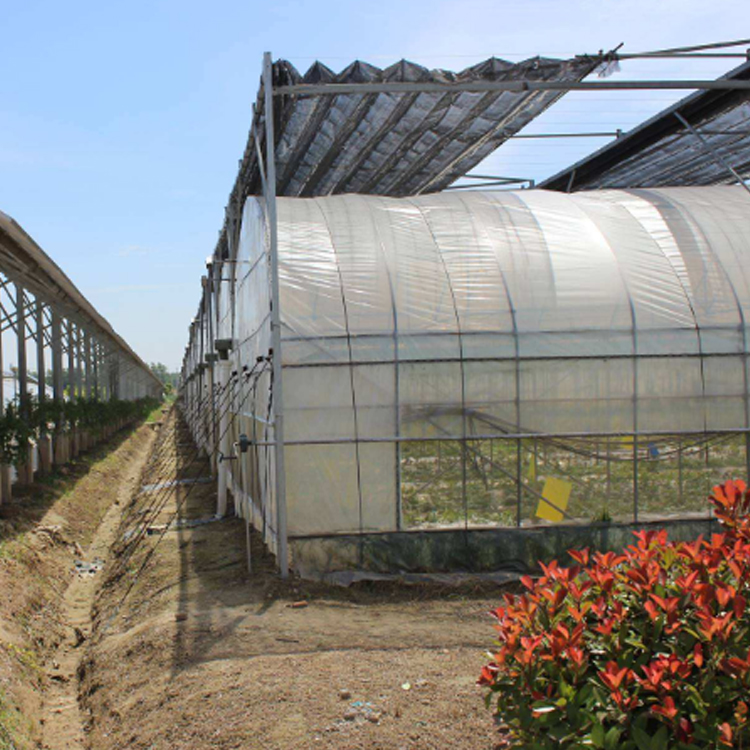 温室大棚
