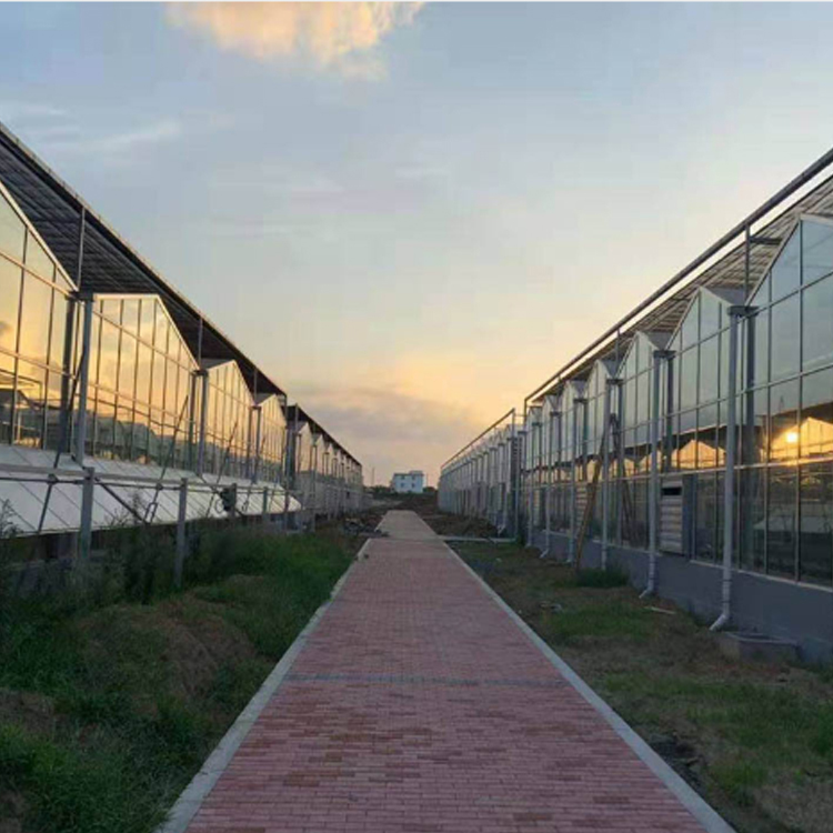 天津温室大棚