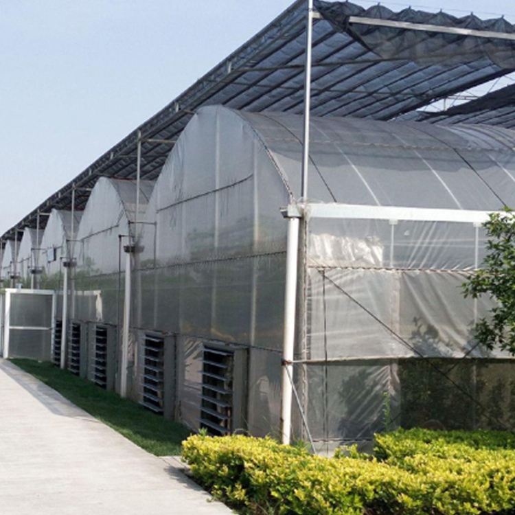 Agricultural greenhouse