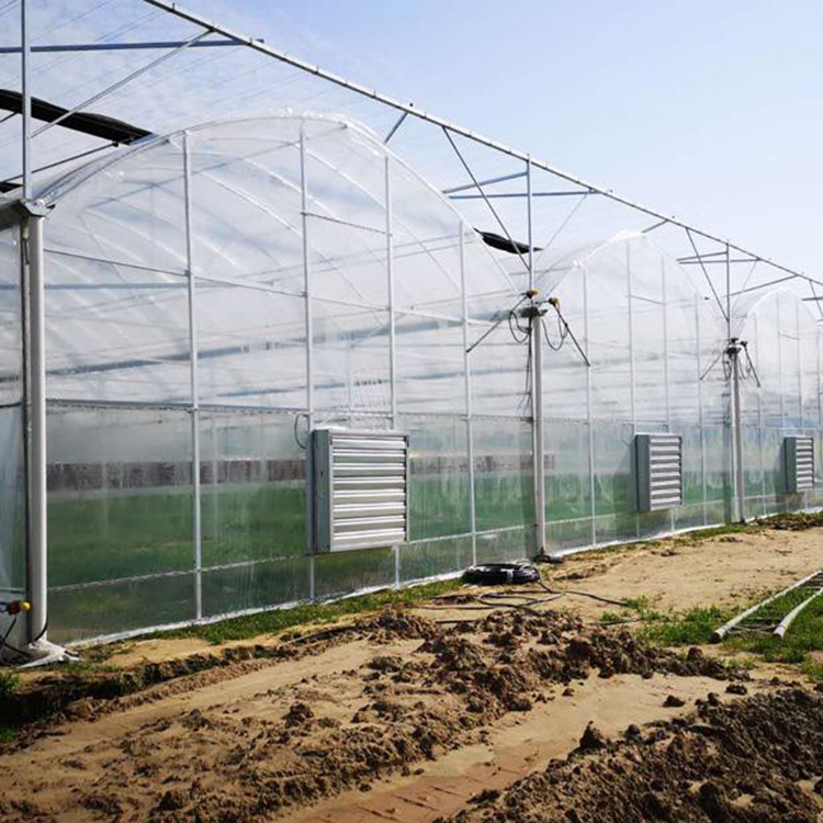 Vegetable seedling shed