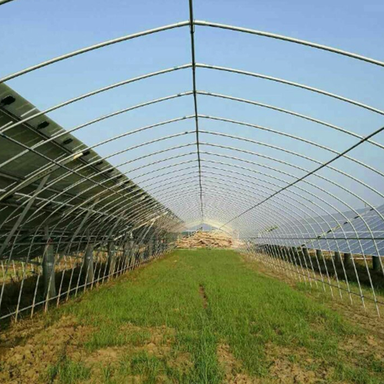 Spring and Autumn Greenhouse