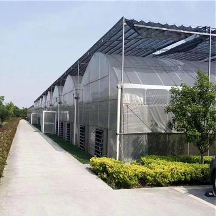 Fruit and vegetable greenhouse