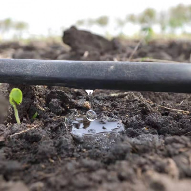 滴灌管水肥一体 滴灌管16mm 大棚农田果园滴灌灌溉管