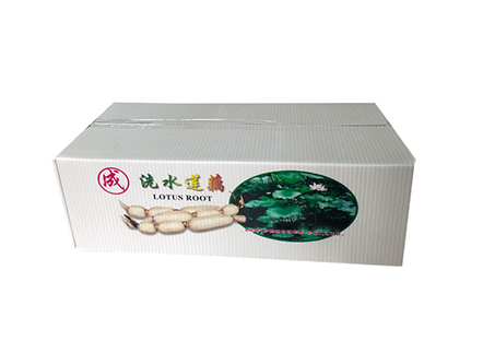 莲藕PE防潮透气配送箱莲藕箱包装
