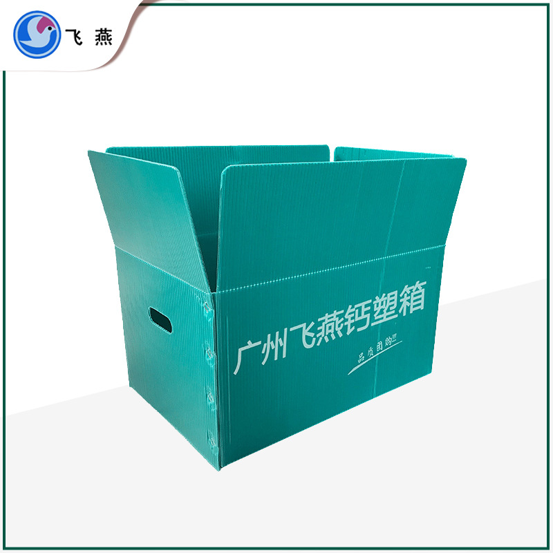 蔬菜水果中空板运输箱马蹄箱包装 沙糖桔包装