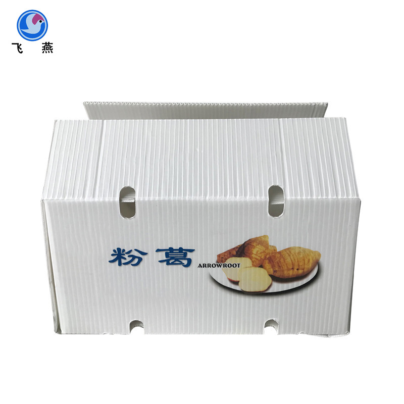 蔬菜水果防潮运输蜂巢箱粉葛箱包装