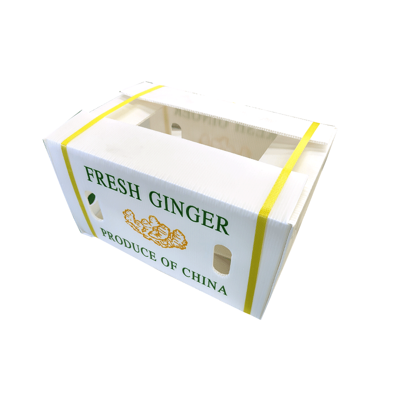 粉葛箱包装  PE防潮透气蔬菜运输中空板箱粉葛箱包装