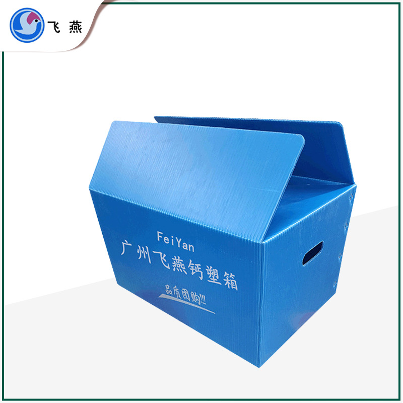 蔬菜水果防潮运输钙塑周转箱沙糖桔包装 荔枝箱包装