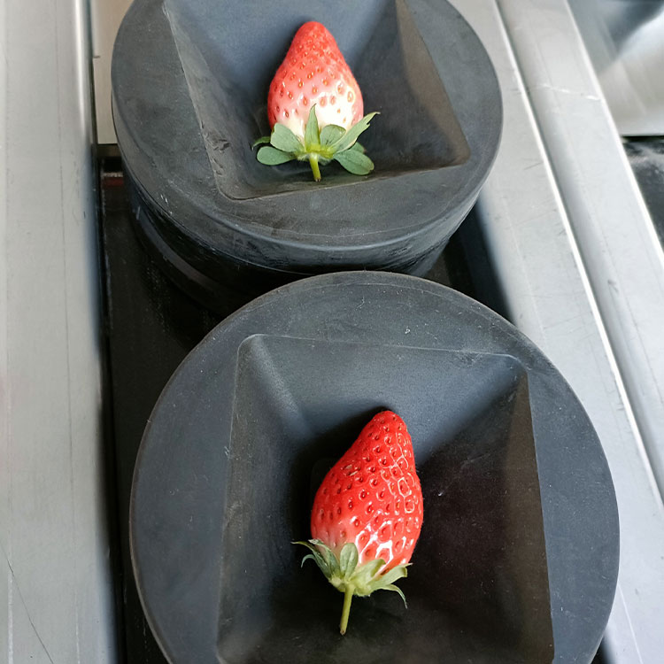 草莓测糖分选机