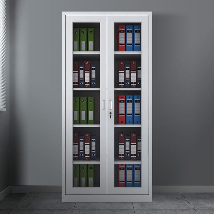 玻璃对开柜 医院家具