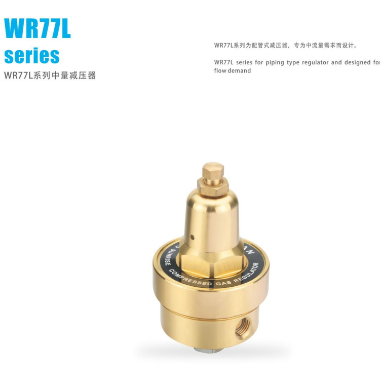 WR77L系列中量减压器