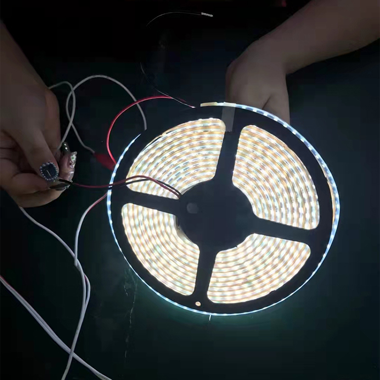 LED硅胶软灯条定制