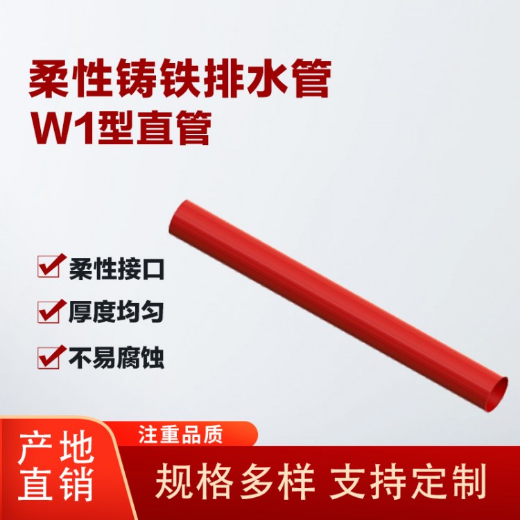 柔性铸铁排水管W1型直管